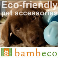 Bambeco.com