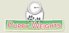 puppy weight predictor australian shepherd puppy growth chart models picture puppy weight predictor australian shepherd puppy growth chart models picture
